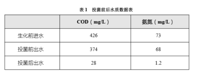 線路板廢水微生物菌增效案例(圖3)